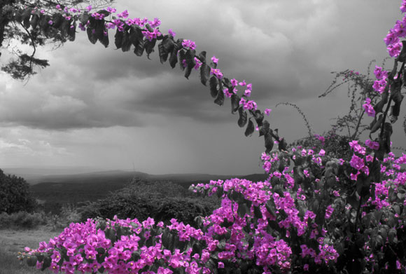 Storm Clouds on Rondo Plateau